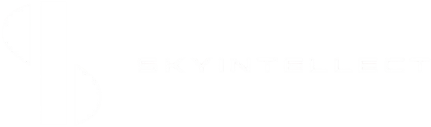 Sky Intellect Logo